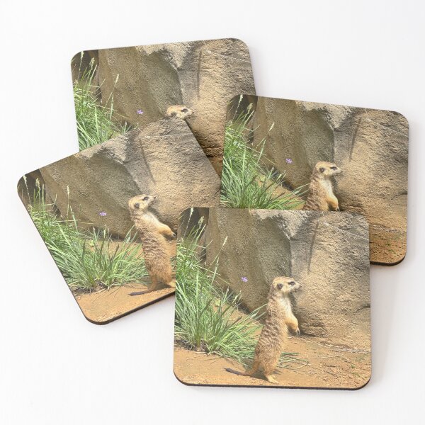 Item preview, Meerkat on Guard designed and sold by Pisces-Pics.