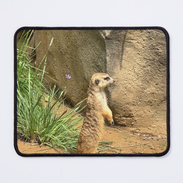 Item preview, Meerkat on Guard designed and sold by Pisces-Pics.