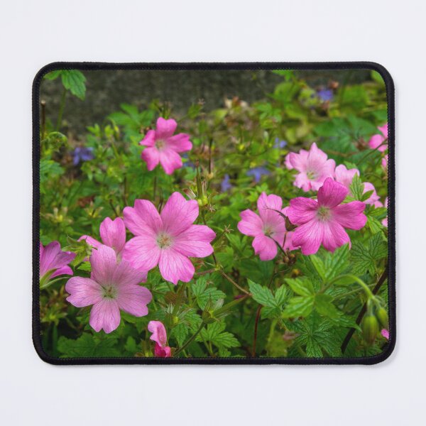 Item preview, Geranium designed and sold by jasminewang.