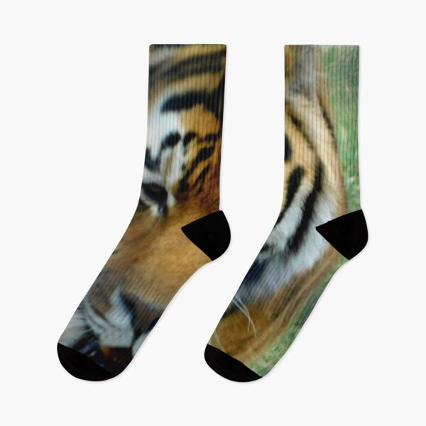 Item preview, Tiger Tiger designed and sold by Photomainia.