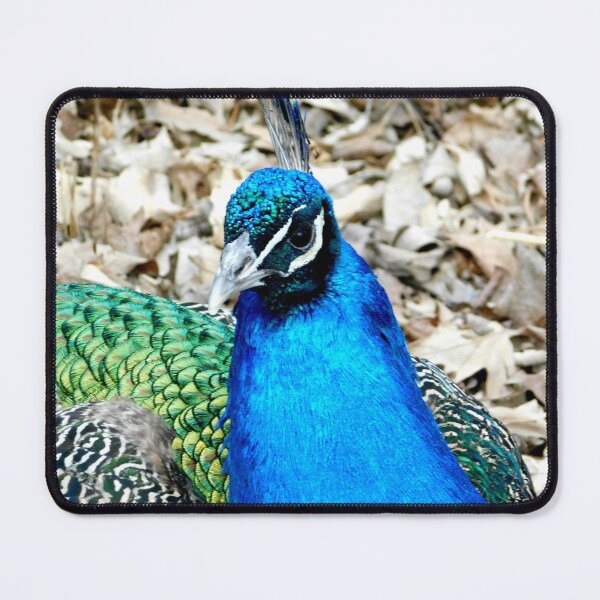 Item preview, Bright designed and sold by Photomainia.