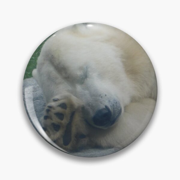 Item preview, Sleepy Polar bear (Close Up) designed and sold by Photomainia.