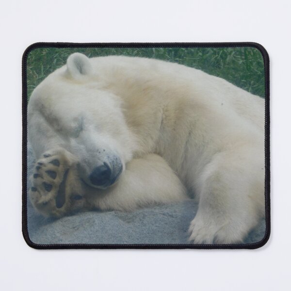 Item preview, Sleepy Polar bear (Close Up) designed and sold by Photomainia.