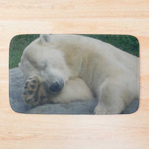 Item preview, Sleepy Polar bear (Close Up) designed and sold by Photomainia.