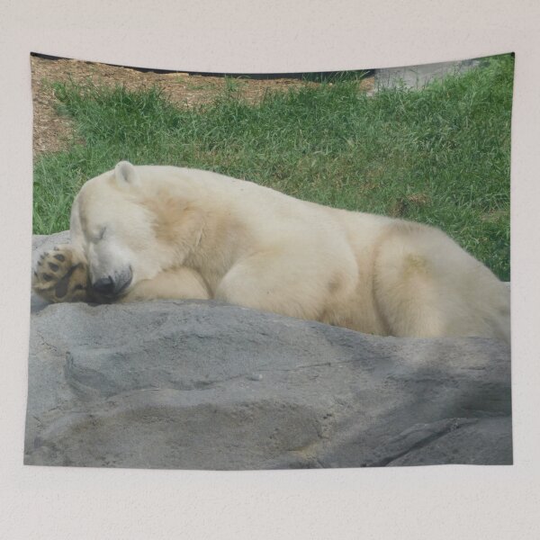 Item preview, Sleepy Polar Bear Full Body designed and sold by Photomainia.