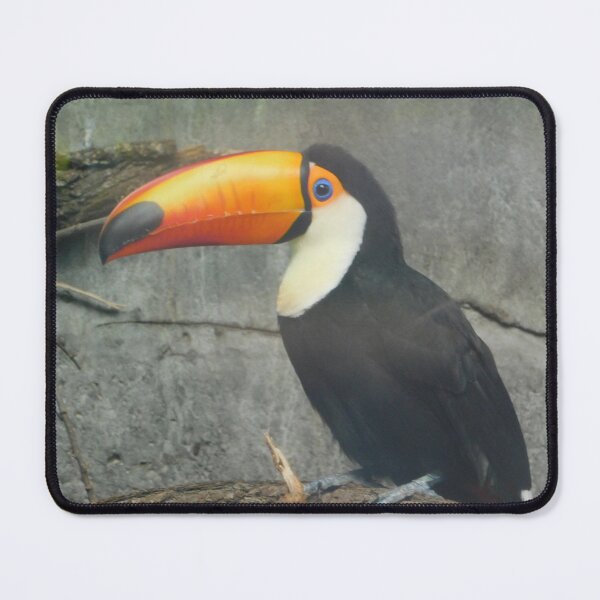 Item preview, Toucan designed and sold by Photomainia.