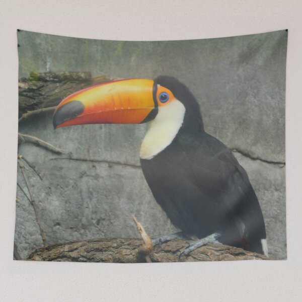 Item preview, Toucan designed and sold by Photomainia.