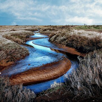 Artwork thumbnail, SNAKE: RIVER GLAVEN - BLAKENEY, NORFOLK UK by Coigach