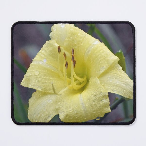 Item preview, Rain on Lily designed and sold by bertsworks300.
