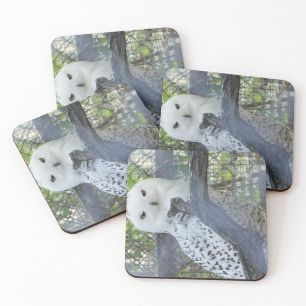 Item preview, Snowy Owl Puzzle designed and sold by Photomainia.