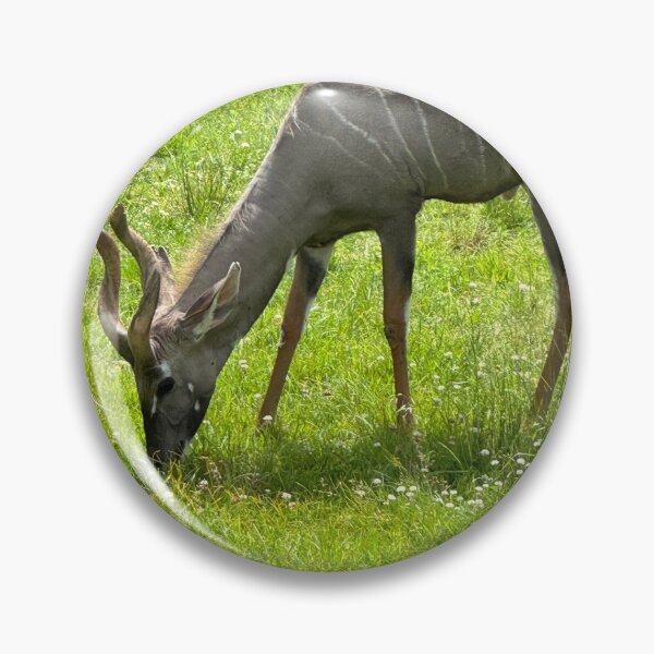 Item preview, Kudu Grazing designed and sold by Pisces-Pics.
