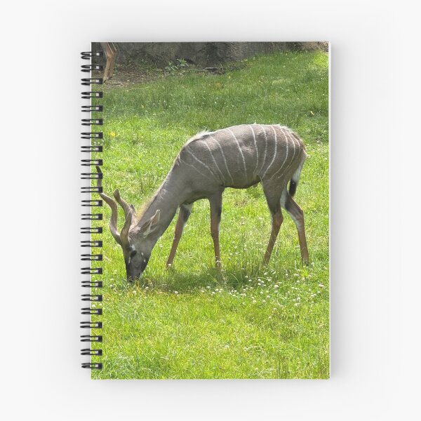 Item preview, Kudu Grazing designed and sold by Pisces-Pics.