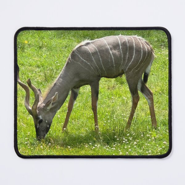 Item preview, Kudu Grazing designed and sold by Pisces-Pics.