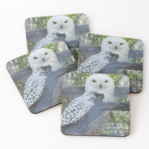 Item preview, Snowy designed and sold by Photomainia.