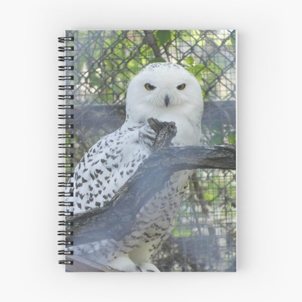 Item preview, Snowy designed and sold by Photomainia.