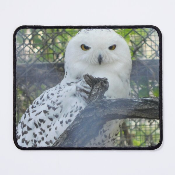 Item preview, Snowy designed and sold by Photomainia.