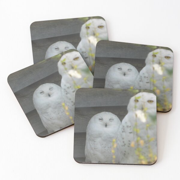 Artikelvorschau, Schneebedecktes Paar entworfen und verkauft von Photomainia.
