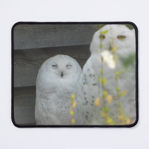 Item preview, Snowy pair designed and sold by Photomainia.