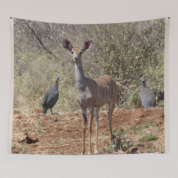 Item preview, Vivid Park in Kenya designed and sold by annenambiro.