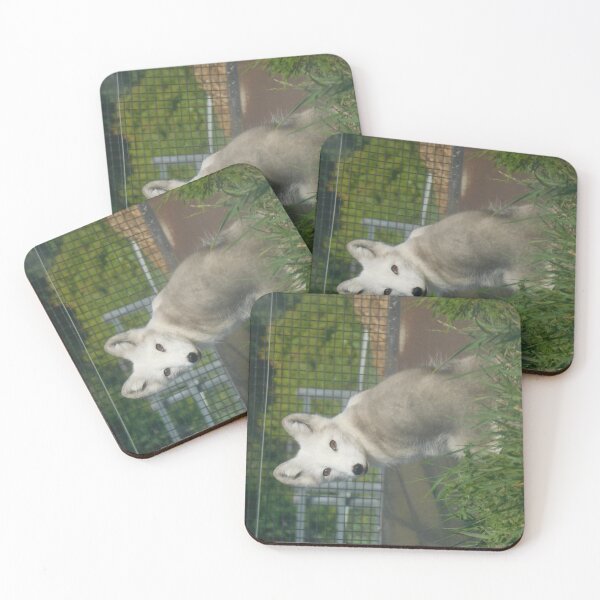 Item preview, Arctic Fox Puzzle designed and sold by Photomainia.