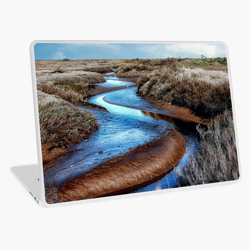 Item preview, Laptop Skin designed and sold by Coigach.