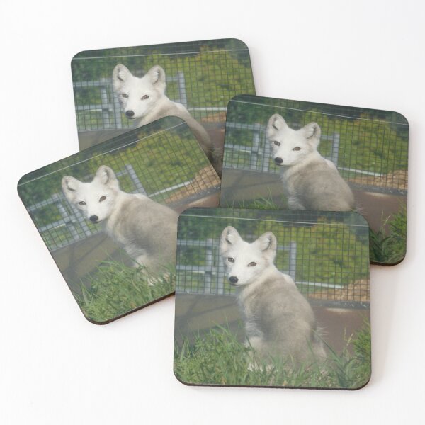 Item preview, Little Arctic Fox designed and sold by Photomainia.