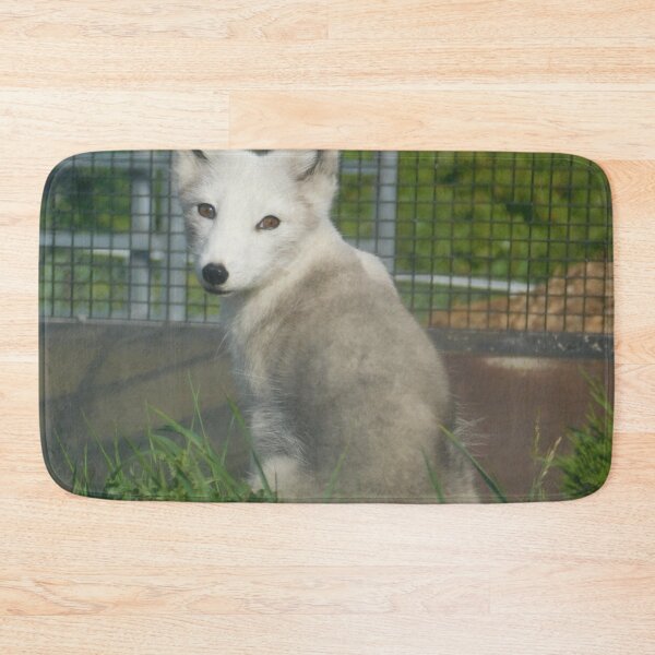 Item preview, Little Arctic Fox designed and sold by Photomainia.
