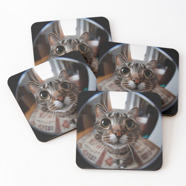 Item preview, Fisheye cat : let me in please designed and sold by Brendon987.