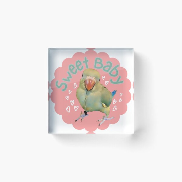 Item preview, Ducky! (AKA Baybell) designed and sold by BeakerBeak.