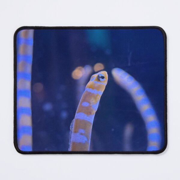 Item preview, Garden of Eels designed and sold by Pisces-Pics.