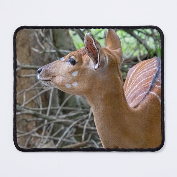 Item preview, Female Nyala Antelope with Stripes designed and sold by SafariByMarisa.