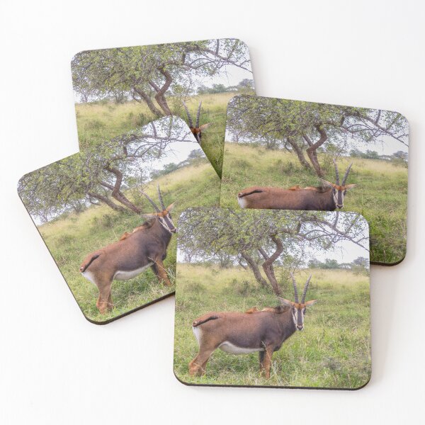 Item preview, Male Nyala Antelope designed and sold by SafariByMarisa.