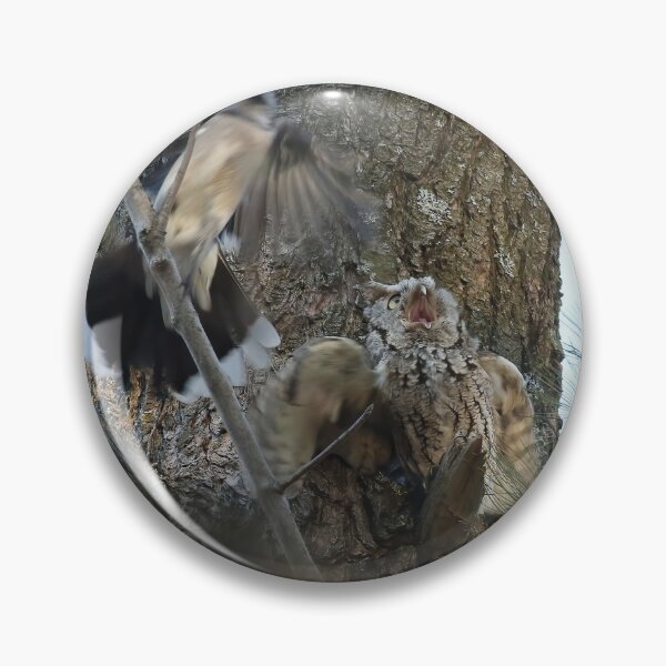 Item preview, Scared Screech Owl designed and sold by locustgirl.