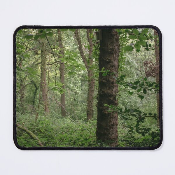 Item preview, A Wondrous Morning designed and sold by Christine Lake.