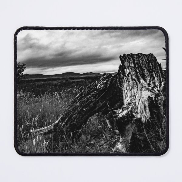 Item preview, Stump under the clouds  designed and sold by Lonewolf53.