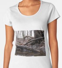 Close to earth Women's Premium T-Shirt