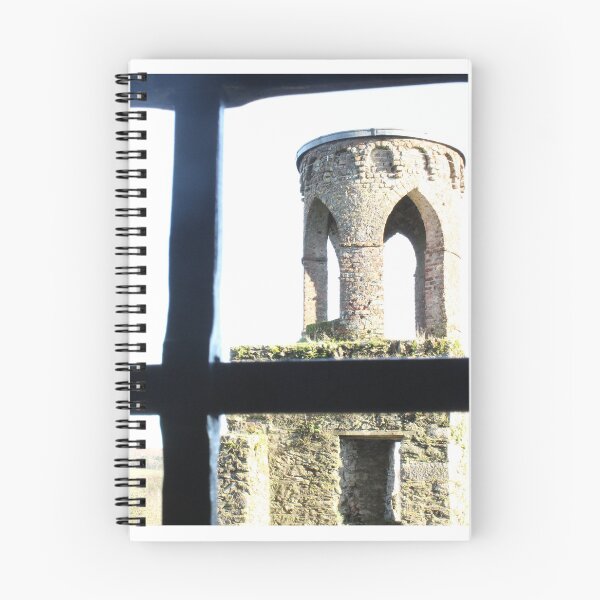 Item preview, Blarney Castle  designed and sold by DevinShmevin.
