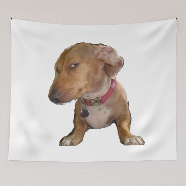 Item preview, Side Eye Dog designed and sold by NeyShopss.