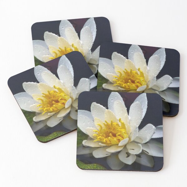 Item preview, White Water Lily designed and sold by Alla Gill.