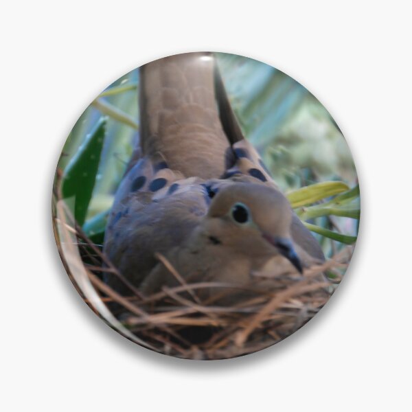 Item preview, Papa Dove in the Nest designed and sold by heatherfriedman.