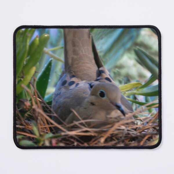 Item preview, Papa Dove in the Nest designed and sold by heatherfriedman.