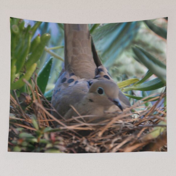 Item preview, Papa Dove in the Nest designed and sold by heatherfriedman.