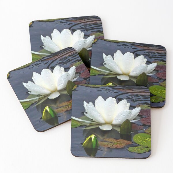 Item preview, Water Lilies designed and sold by Alla Gill.