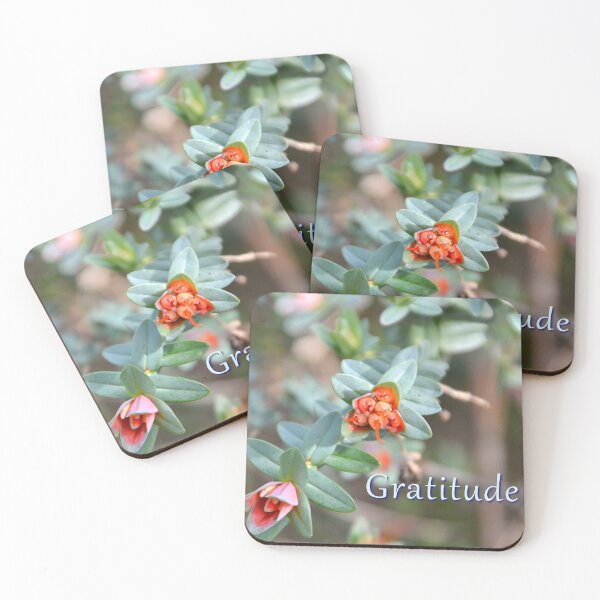 Item preview, Gratitude designed and sold by FancifulsBySue.