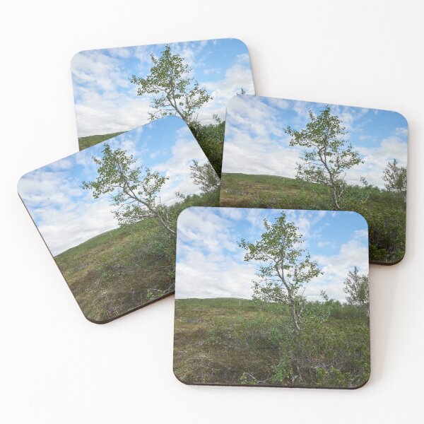 Item preview, A view with Mountain Birch of Kiilopaa designed and sold by Jouko Lehto Photography.