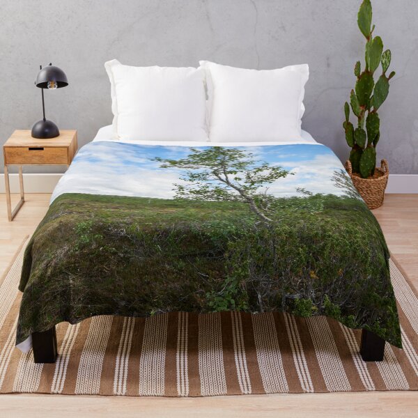 Item preview, A view with Mountain Birch of Kiilopaa designed and sold by Jouko Lehto Photography.