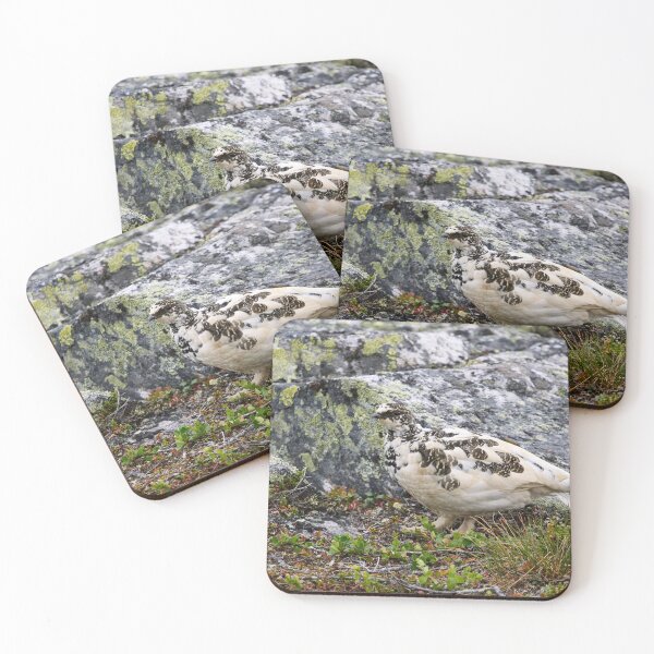 Item preview, By the rocks. Rock ptarmigan Kiilopaa designed and sold by Jouko Lehto Photography.
