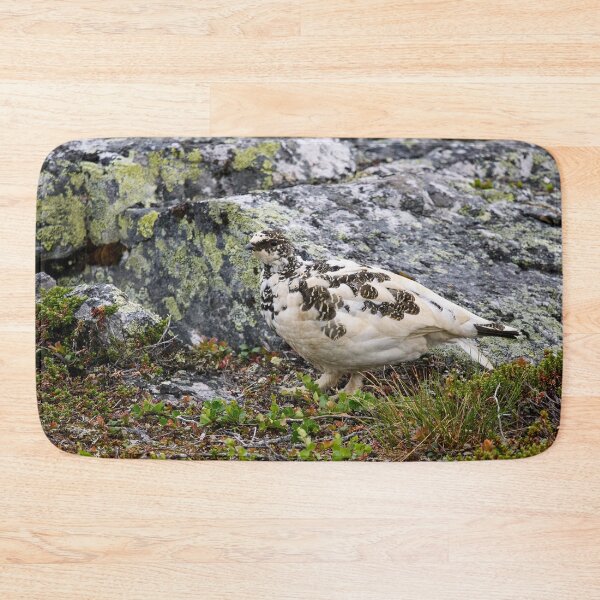 Item preview, By the rocks. Rock ptarmigan Kiilopaa designed and sold by Jouko Lehto Photography.