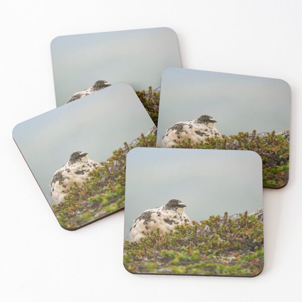 Item preview, Sky is the limit. Rock ptarmigan Kiilopaa designed and sold by Jouko Lehto Photography.