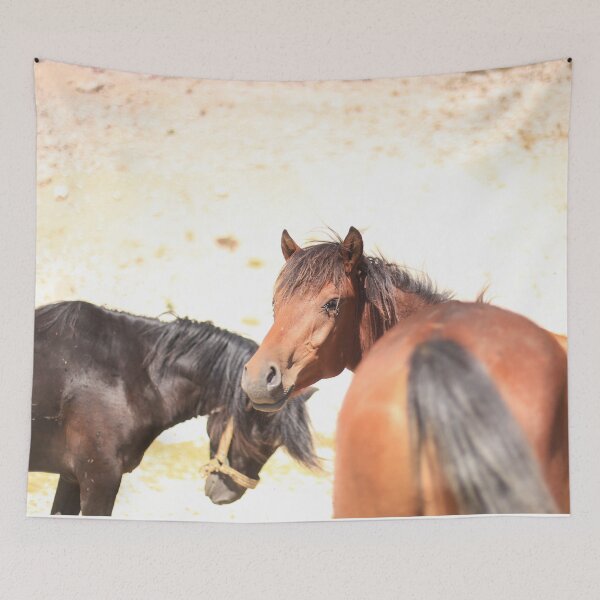 Item preview, two horses designed and sold by burenkaUA.